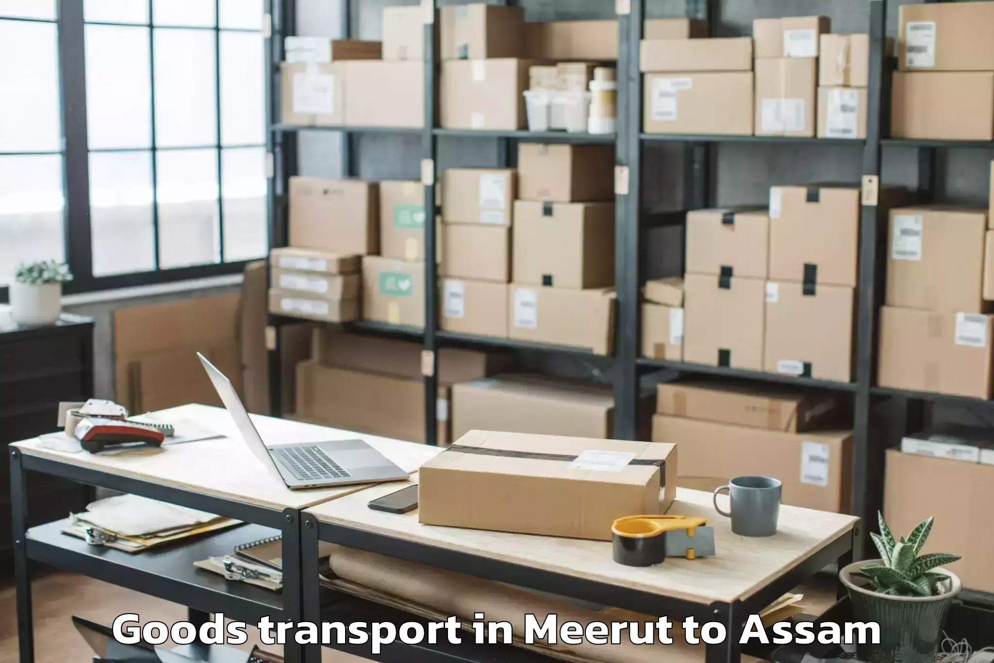 Meerut to Gogamukh Goods Transport Booking